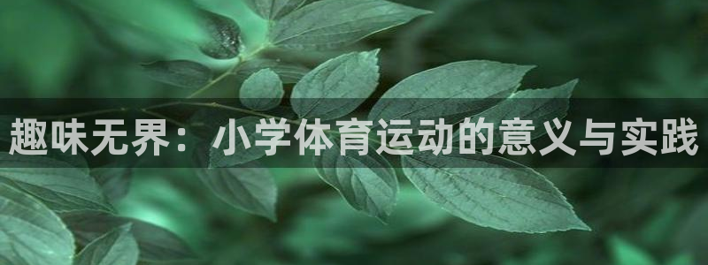 球客岛：趣味无界：小学体育运动的意义与实践