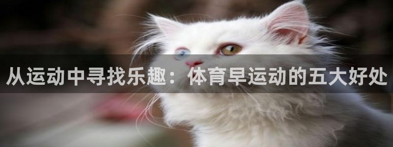 球客岛：从运动中寻找乐趣：体育早运动的五大好处