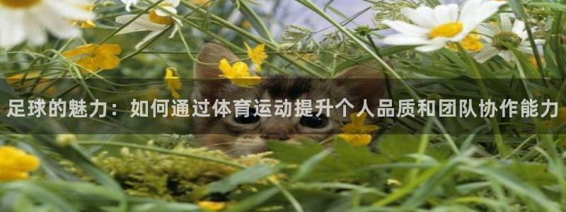 球客岛：足球的魅力：如何通过体育运动提升个人品质和团队协作能力