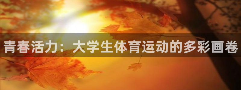 球客岛：青春活力：大学生体育运动的多彩画卷