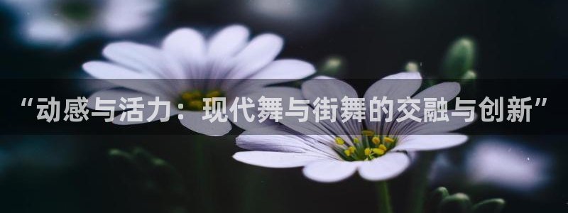 球客岛：“动感与活力：现代舞与街舞的交融与创新”