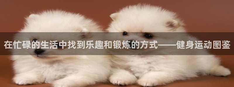 球客岛：在忙碌的生活中找到乐趣和锻炼的方式——健身运动图鉴