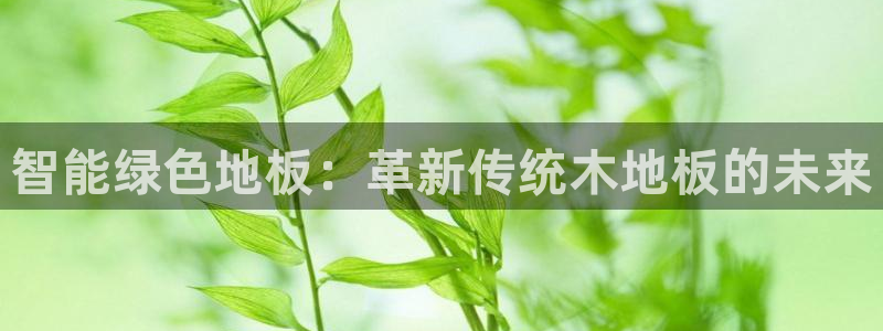球客岛：智能绿色地板：革新传统木地板的未来