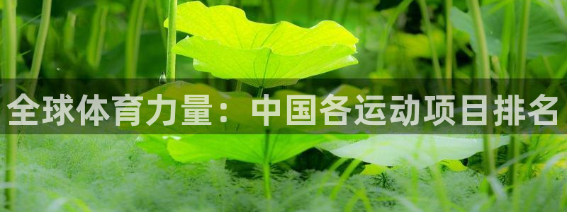球客岛：全球体育力量：中国各运动项目排名