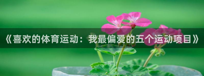 球客岛：《喜欢的体育运动：我最偏爱的五个运动项目》