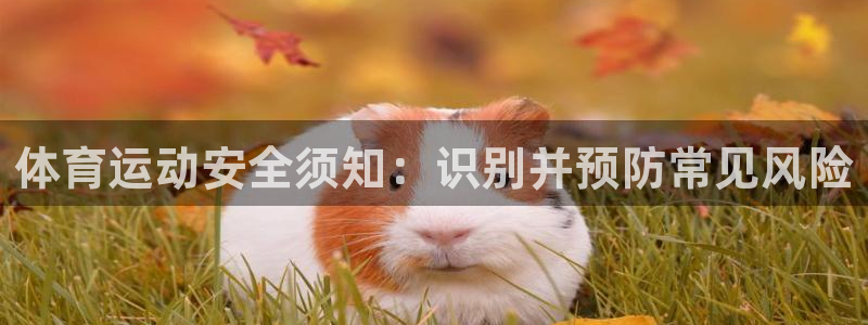 球客岛：体育运动安全须知：识别并预防常见风险