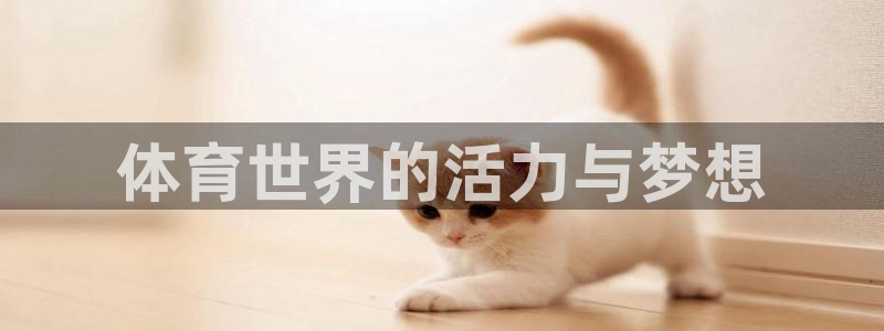 球客岛：体育世界的活力与梦想